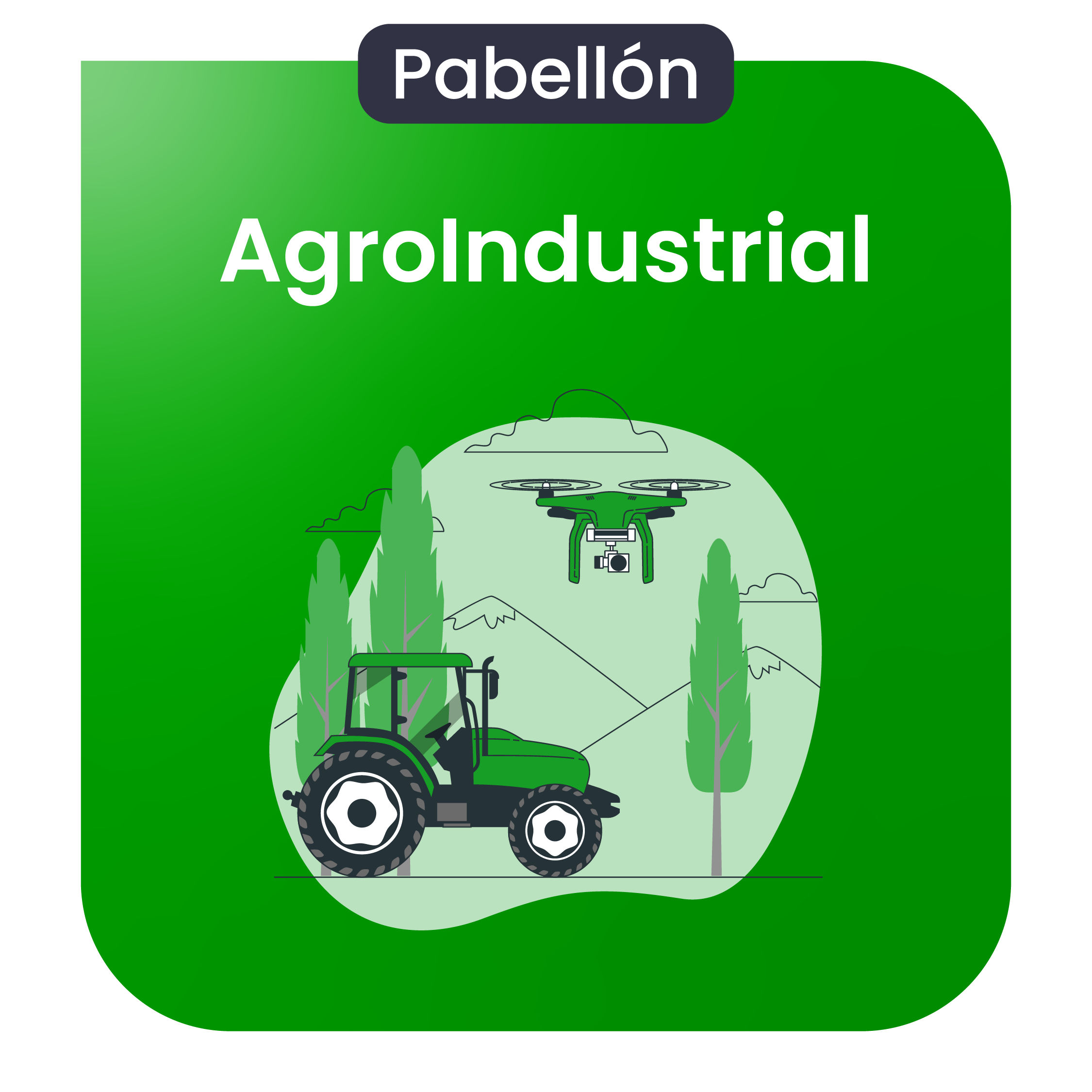 Pabellón Agroindustrial
